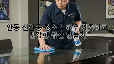 안동 신안동 청소 노하우: 깨끗하고 건강한 공간 만들기